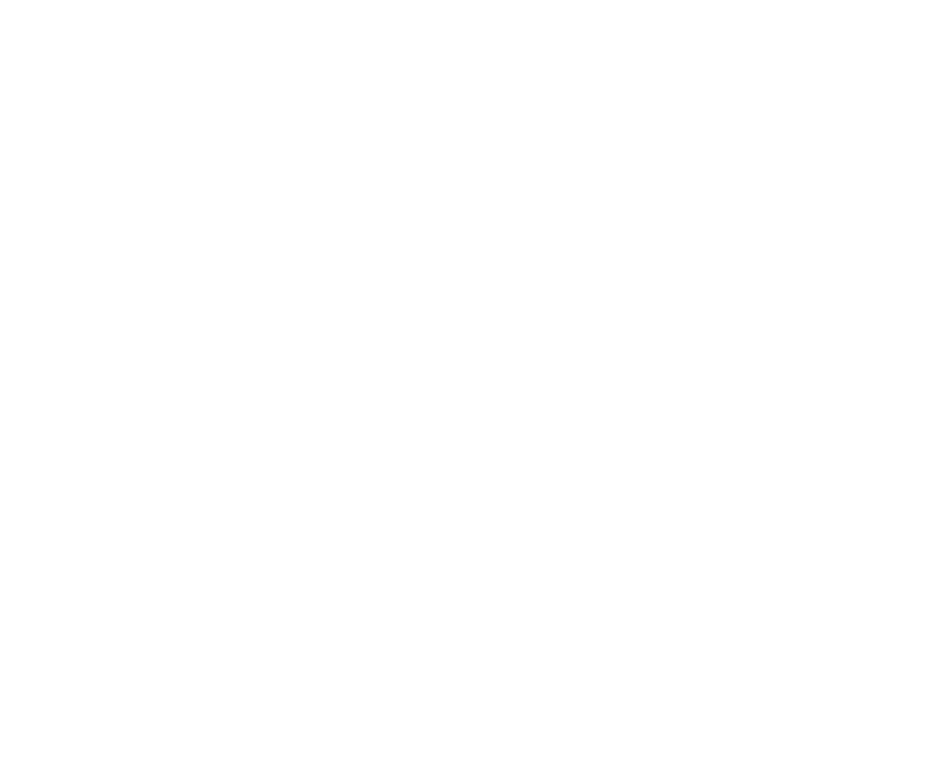 Root Consultancy